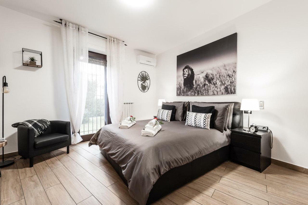 פיזה Casa Margherita 1 מראה חיצוני תמונה